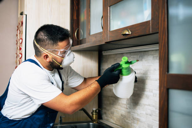 Best Pest Control Near Me in Sand Springs, OK