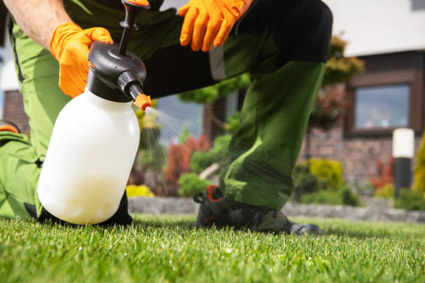  Sand Springs, OK Pest Control Pros
