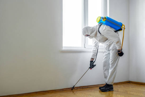 Best Cockroach Control Services  in Sand Springs, OK