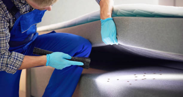 Best Best Pest Control Companies  in Sand Springs, OK