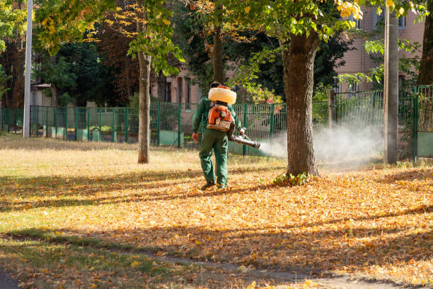 Best Exterminator Services  in Sand Springs, OK
