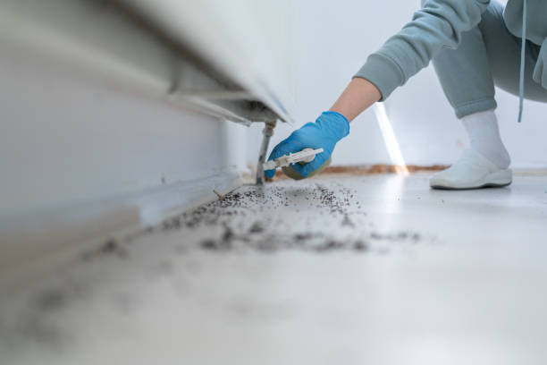 Best Termite Control Services  in Sand Springs, OK